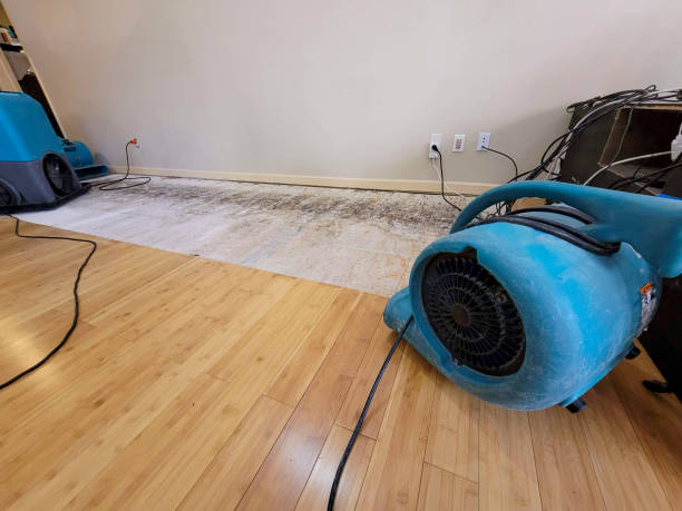 Professional Burst Pipe Water Damage technician working in Gilbertville, MA